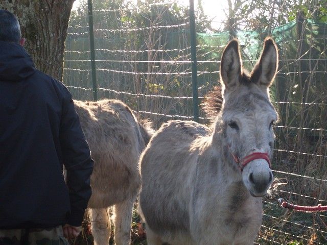 loire propre 2015 (1).jpg